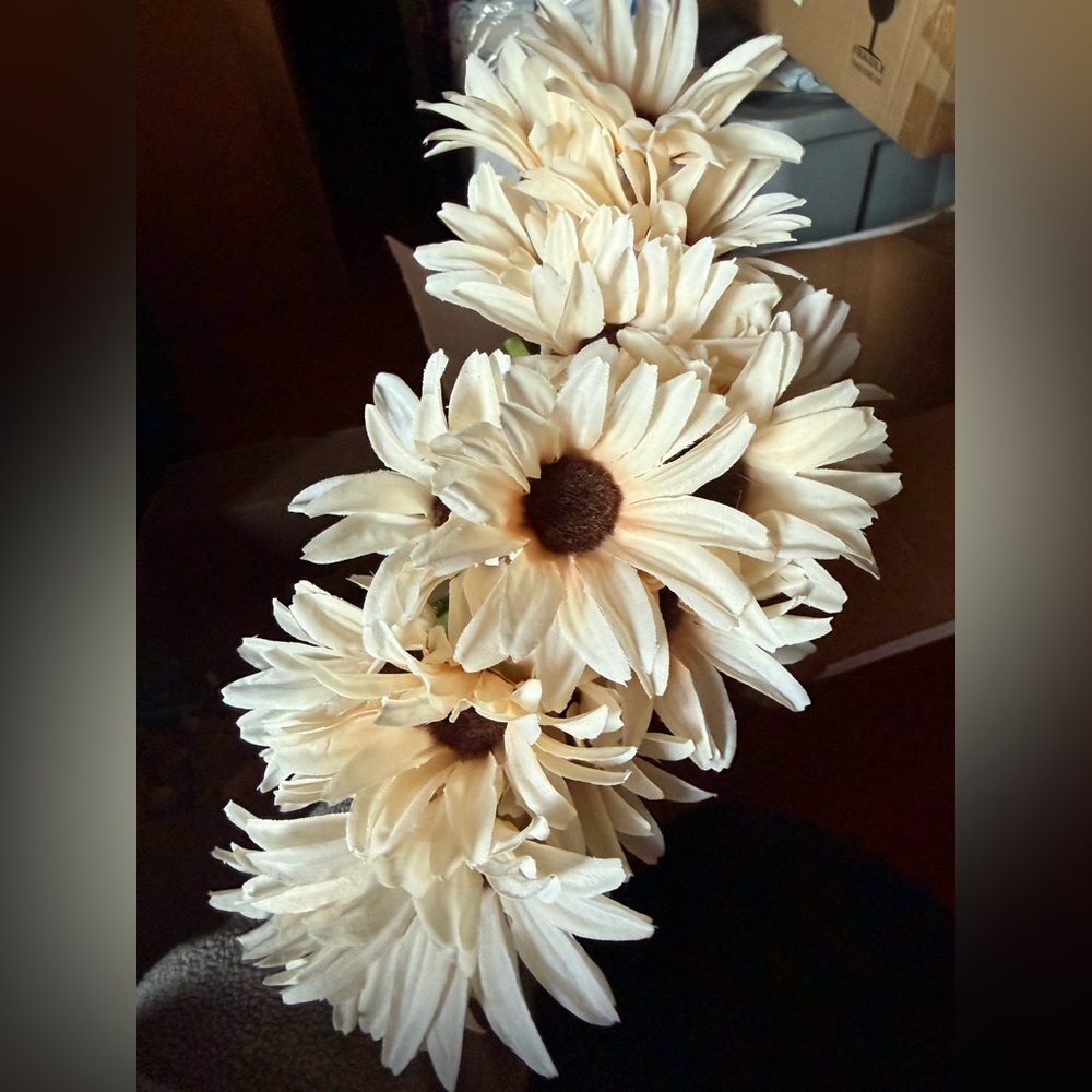 Elegant Cream Faux Daisy’s